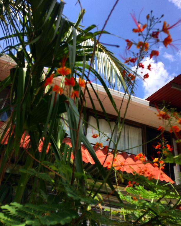 Flamingo Cabinas Hotel Playa Flamingo Luaran gambar